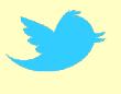 twitternewbirdblue